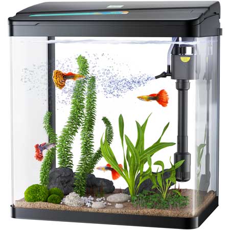 Home › PonDon: Your Fish Tank Guides