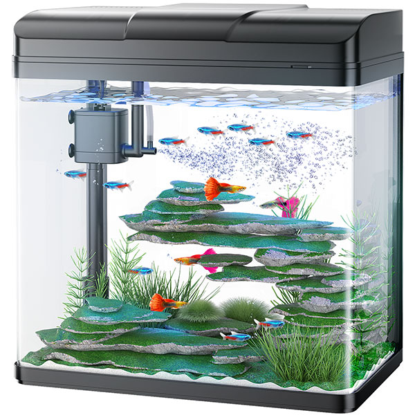 Home › PonDon: Your Fish Tank Guides