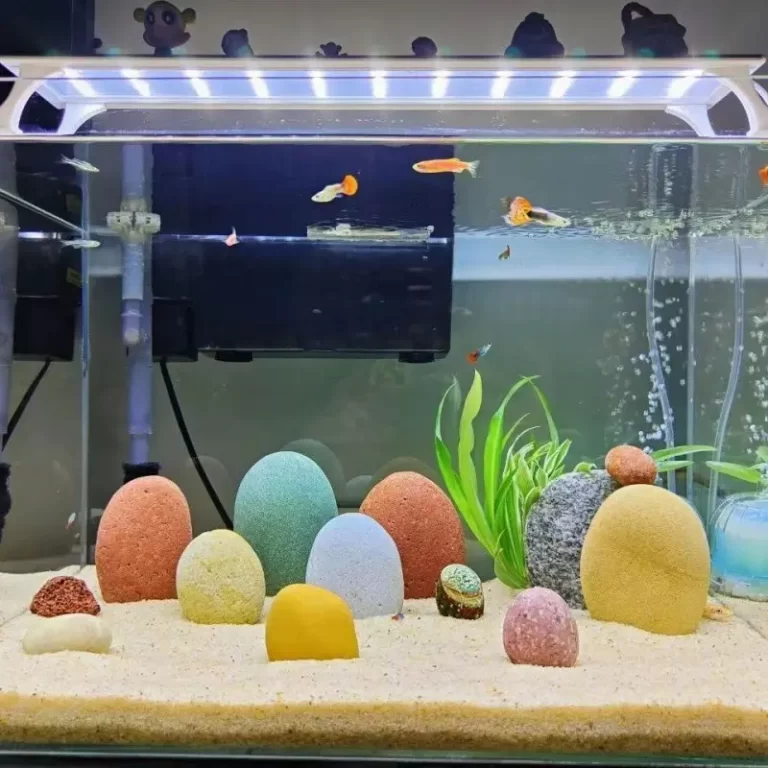 fish tank stone decoration