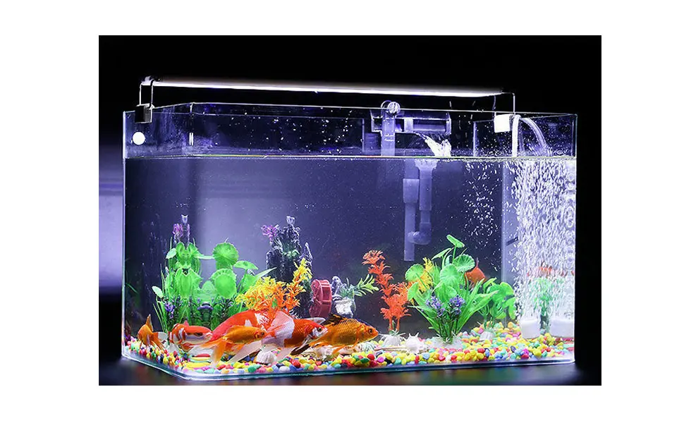 what-should-my-fish-tank-levels-be-pondon-aquaruim