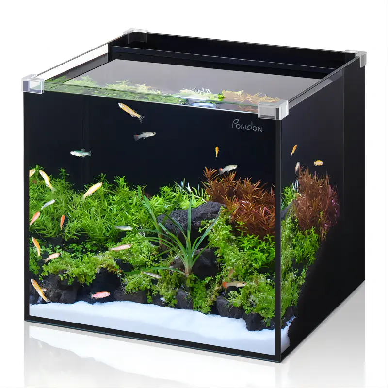 rear filter fish tank